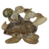 TORTUE EN COQUILLAGES PAR 3 – Image 2