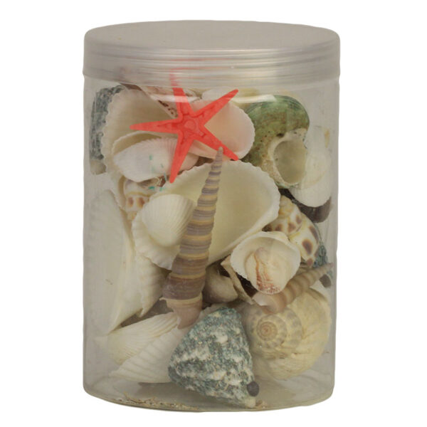BOITE COQUILLAGES